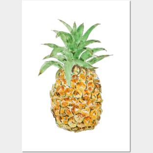 pineapple  ink and watercolor painting Posters and Art